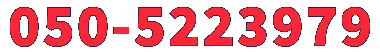 0502810385