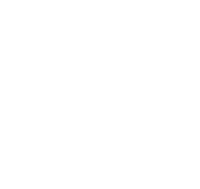 לוגו של משטרת ישראל